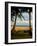 Ship Wreck Beach and Hammock, Kauai, Hawaii, USA-Terry Eggers-Framed Photographic Print