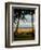 Ship Wreck Beach and Hammock, Kauai, Hawaii, USA-Terry Eggers-Framed Photographic Print