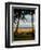 Ship Wreck Beach and Hammock, Kauai, Hawaii, USA-Terry Eggers-Framed Photographic Print