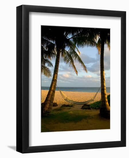 Ship Wreck Beach and Hammock, Kauai, Hawaii, USA-Terry Eggers-Framed Photographic Print