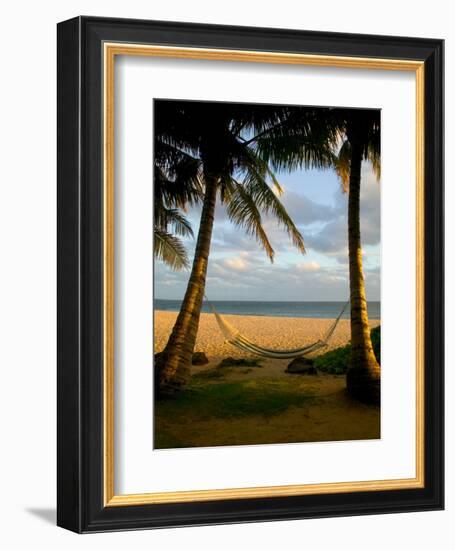 Ship Wreck Beach and Hammock, Kauai, Hawaii, USA-Terry Eggers-Framed Photographic Print