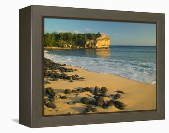 Ship Wreck Beach, Kauai, Hawaii, USA-Terry Eggers-Framed Premier Image Canvas