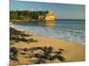 Ship Wreck Beach, Kauai, Hawaii, USA-Terry Eggers-Mounted Premium Photographic Print