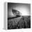 Ship Wreck II-Nina Papiorek-Framed Premier Image Canvas