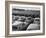 Shipment of Swedish Volvo Cars to USA-Stan Wayman-Framed Photographic Print