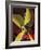 "Ships Propeller," February 26, 1944-Fred Ludekens-Framed Giclee Print