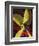 "Ships Propeller," February 26, 1944-Fred Ludekens-Framed Giclee Print