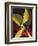 "Ships Propeller," February 26, 1944-Fred Ludekens-Framed Giclee Print