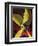 "Ships Propeller," February 26, 1944-Fred Ludekens-Framed Giclee Print