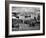 Ships Sitting in Harbor-null-Framed Photographic Print