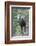 Shiras Bull Moose-Ken Archer-Framed Photographic Print