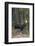 Shiras Bull Moose-Ken Archer-Framed Photographic Print