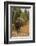 Shiras bull moose-Ken Archer-Framed Photographic Print