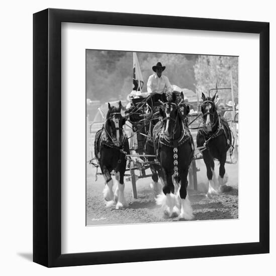 Shire Horses-Barry Hart-Framed Art Print