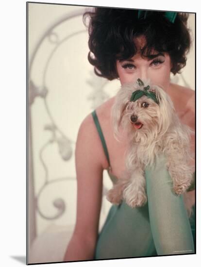 Shirley MacLaine as Irma Posing with Small Dog in Motion Picture Irma La Douce-Gjon Mili-Mounted Premium Photographic Print