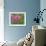 Shirley Poppies-Steve Satushek-Framed Art Print displayed on a wall