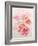 Shirley Poppies-Joan Thewsey-Framed Giclee Print