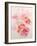 Shirley Poppies-Joan Thewsey-Framed Giclee Print