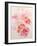 Shirley Poppies-Joan Thewsey-Framed Giclee Print