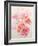 Shirley Poppies-Joan Thewsey-Framed Giclee Print