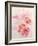 Shirley Poppies-Joan Thewsey-Framed Giclee Print