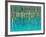 Shirogane Hot Springs, Blue Marsh, Hokkaido, Japan-Rob Tilley-Framed Photographic Print