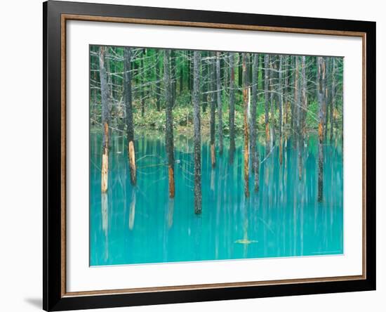 Shirogane Hot Springs, Blue Marsh, Hokkaido, Japan-Rob Tilley-Framed Photographic Print