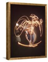 Shirtless Artist Pablo Picasso Creating Light Drawing of Vase of Flowers-Gjon Mili-Framed Premier Image Canvas