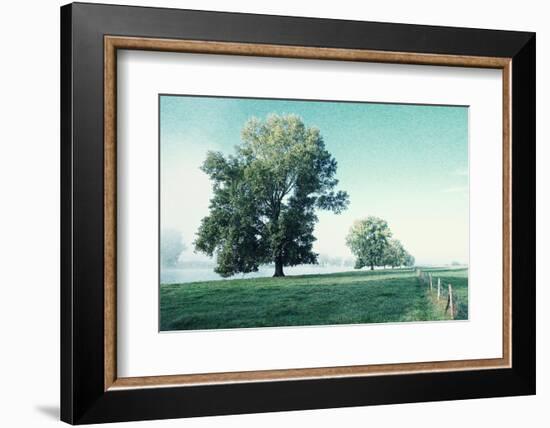 Shivering Trees in Morning Haze-Jacob Berghoef-Framed Photographic Print