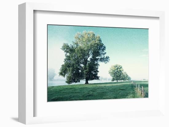 Shivering Trees in Morning Haze-Jacob Berghoef-Framed Photographic Print