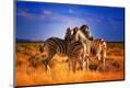 Photographic Print