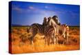 Stretched Canvas Print