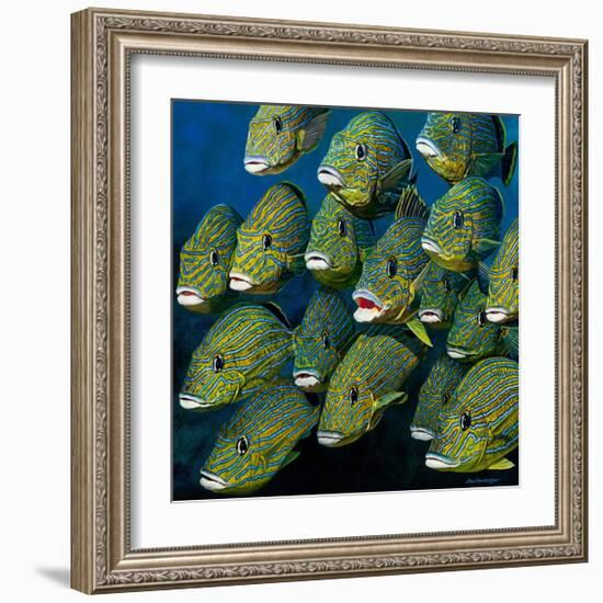 Shoal of Grunts-Jan Henderson-Framed Art Print