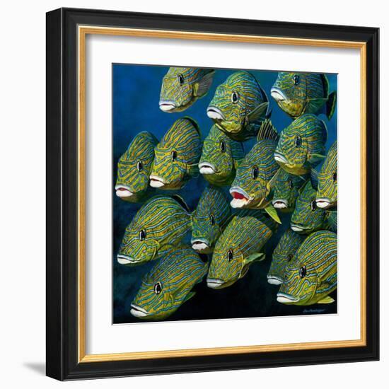 Shoal of Grunts-Jan Henderson-Framed Art Print