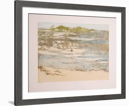 Shoals-Olga Poloukhine-Framed Limited Edition