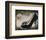 Shoe Box II-Andrea Stajan-ferkul-Framed Art Print