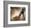 Shoe Box IV-Andrea Stajan-ferkul-Framed Art Print