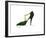 Shoe, c.1955 (Green and Yellow)-Andy Warhol-Framed Giclee Print