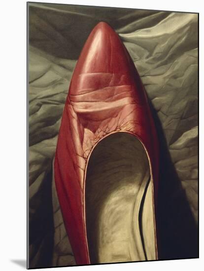 Shoe-like-Robert Burkall Marsh-Mounted Premium Giclee Print