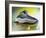 Shoe Skate-null-Framed Photographic Print