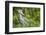 Shoebill stork, swamps of Mabamba, Lake Victoria, Uganda-Eric Baccega-Framed Photographic Print