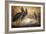 Shoebilled Stork, 1861-Joseph Wolf-Framed Giclee Print