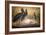 Shoebilled Stork, 1861-Joseph Wolf-Framed Giclee Print