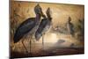 Shoebilled Stork, 1861-Joseph Wolf-Mounted Giclee Print