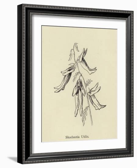 Shoebootia Utilis-Edward Lear-Framed Giclee Print