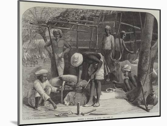 Shoeing a Bullock in India-null-Mounted Giclee Print