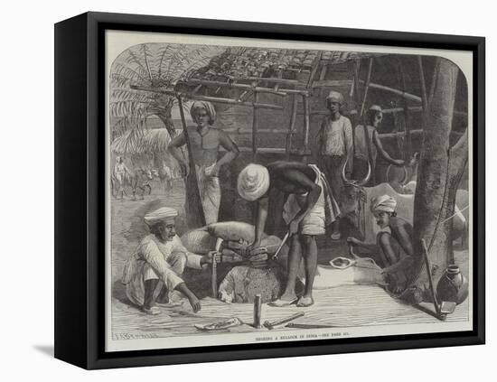 Shoeing a Bullock in India-null-Framed Premier Image Canvas