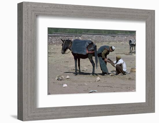 Shoeing of a mule at the Berber market south of Marrakech-CM Dixon-Framed Photographic Print