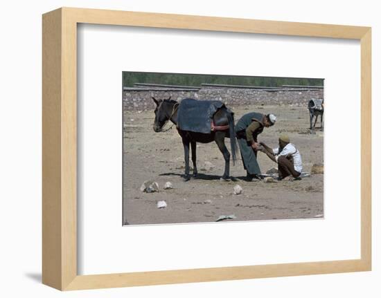 Shoeing of a mule at the Berber market south of Marrakech-CM Dixon-Framed Photographic Print