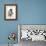 Shoeless Joe Jackson-Allen Friedlander-Framed Art Print displayed on a wall